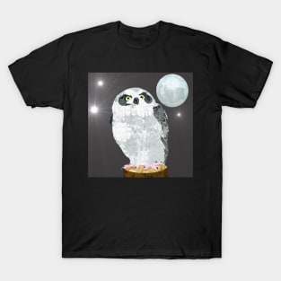 Disco Party Night Owl T-Shirt